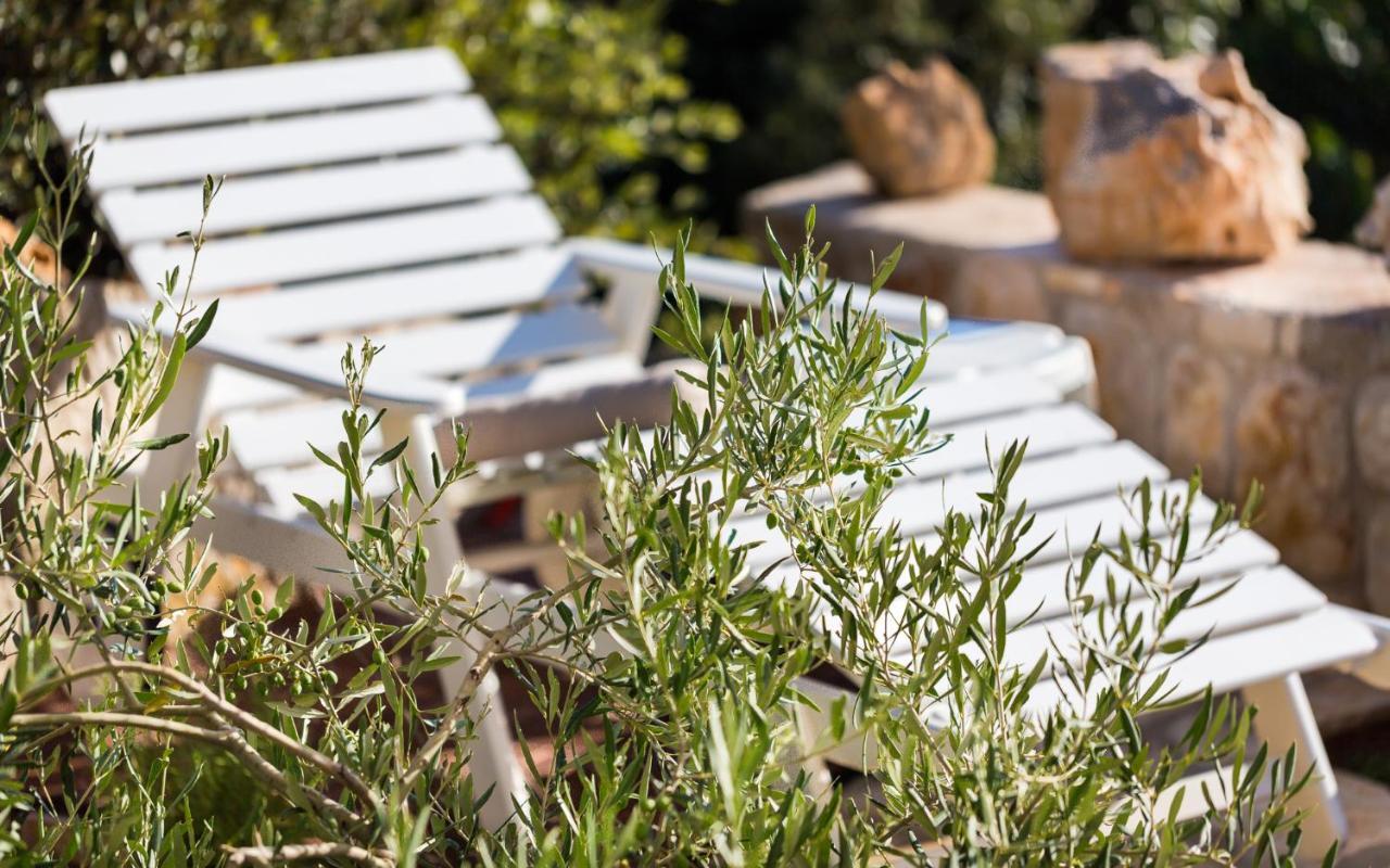 Hacienda Babina Βίλα Miholascica Εξωτερικό φωτογραφία